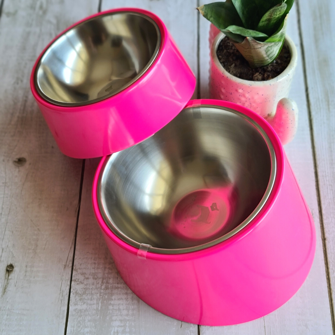Flat faced dog bowls | Slant dog bowls online UAE