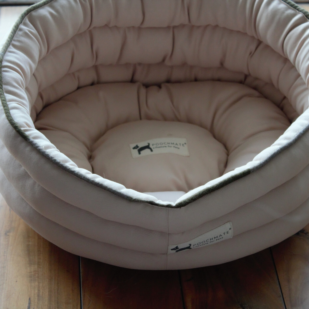 Cat Supplies online UAE | best Cat beds online Dubai
