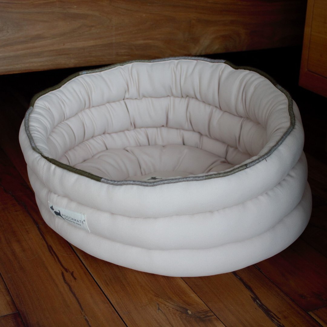Cat beds online Dubai | Shop for cat supplies in UAE