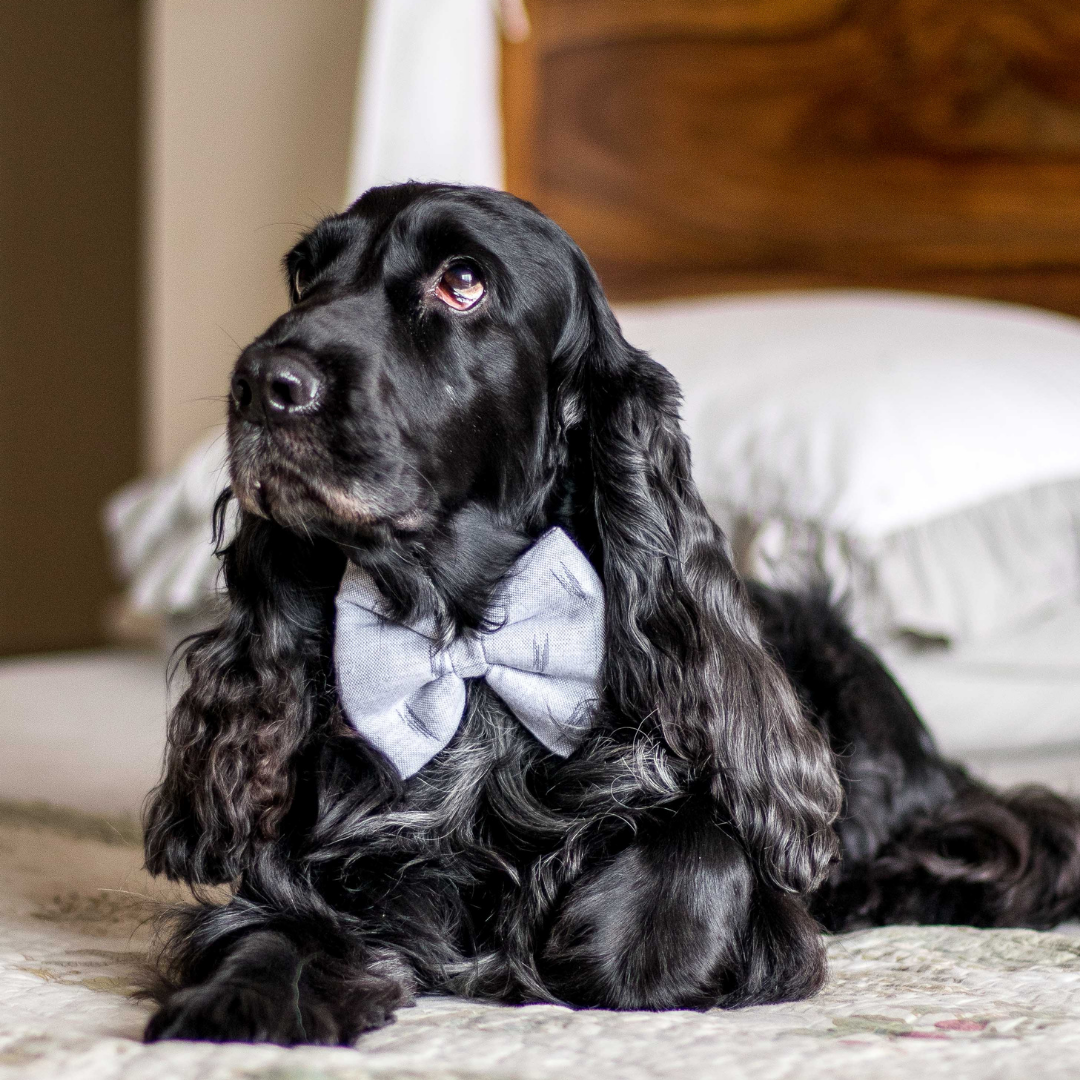 PoochMate Ikat Linen Dog Bow Tie