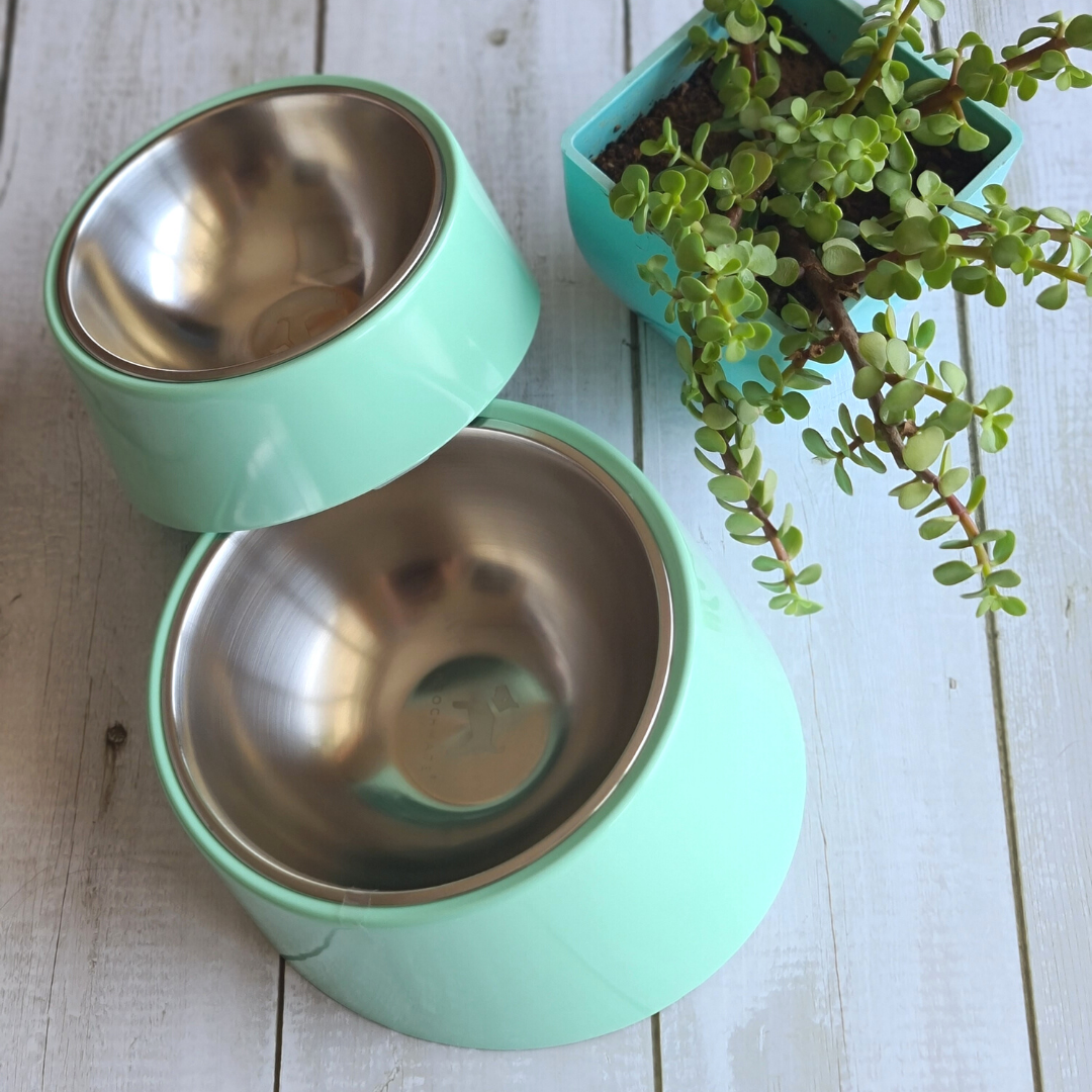 Shop dog supplies online Dubai | Dog Bowls in Dubai