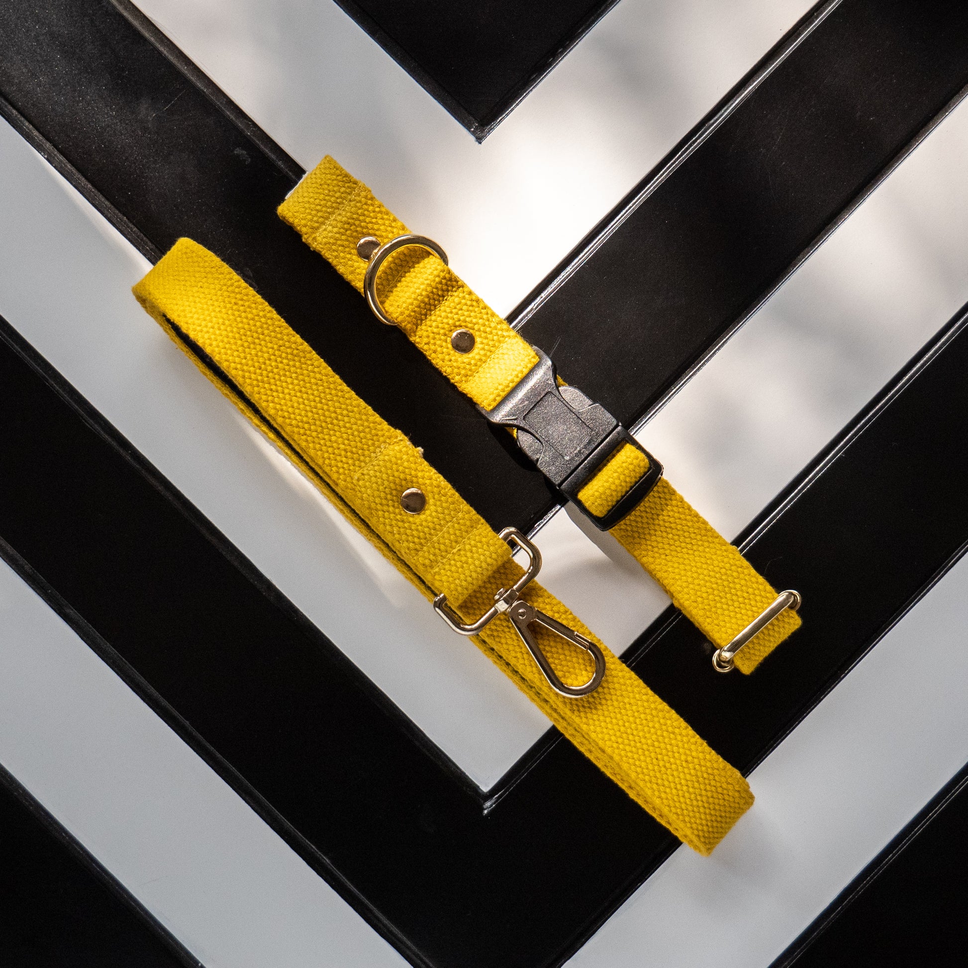 Cotton dog collar & leash online UAE | Dog collars Dubai