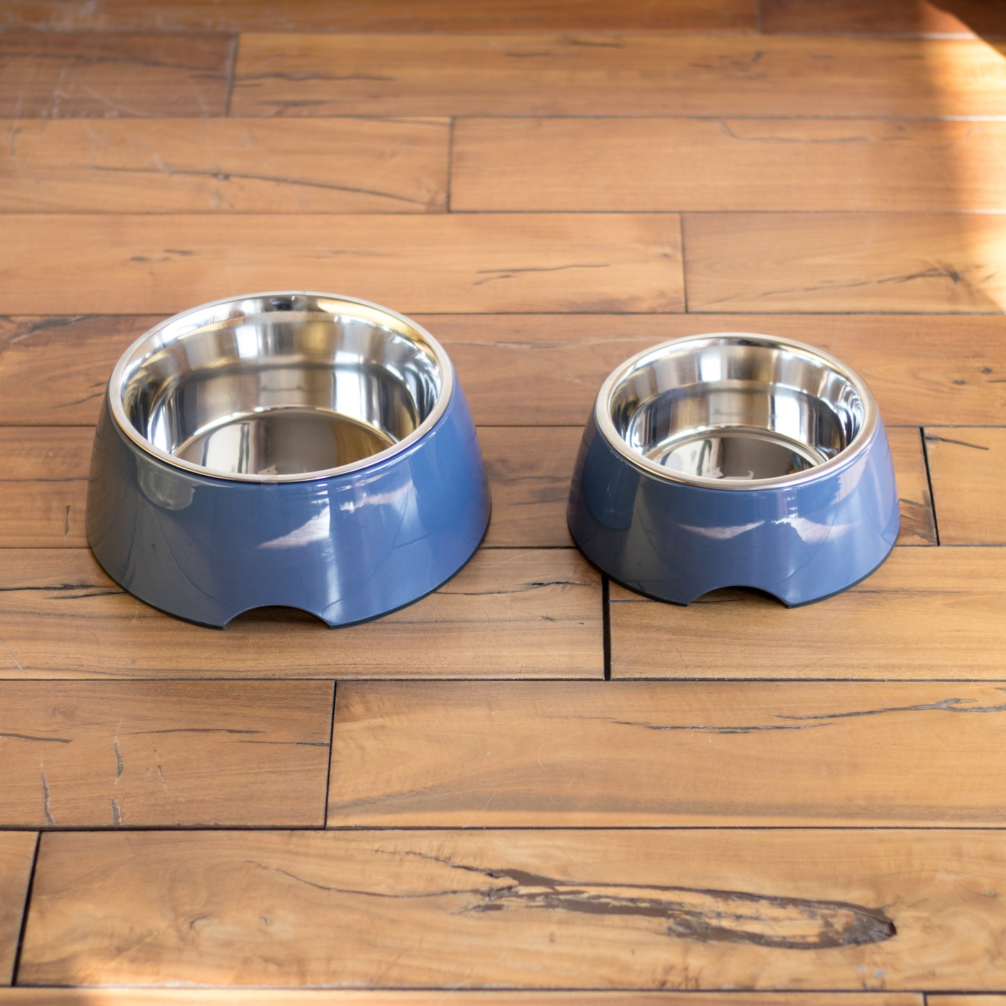 Dog Supplies online Dubai | Shop for dog bowls in Dubai