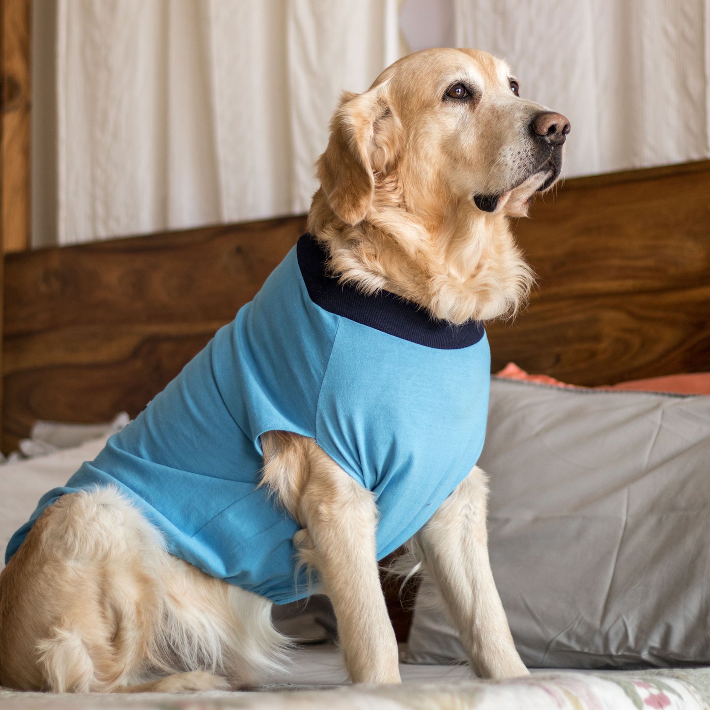 PoochMate Blue Pocket Dog T-Shirt