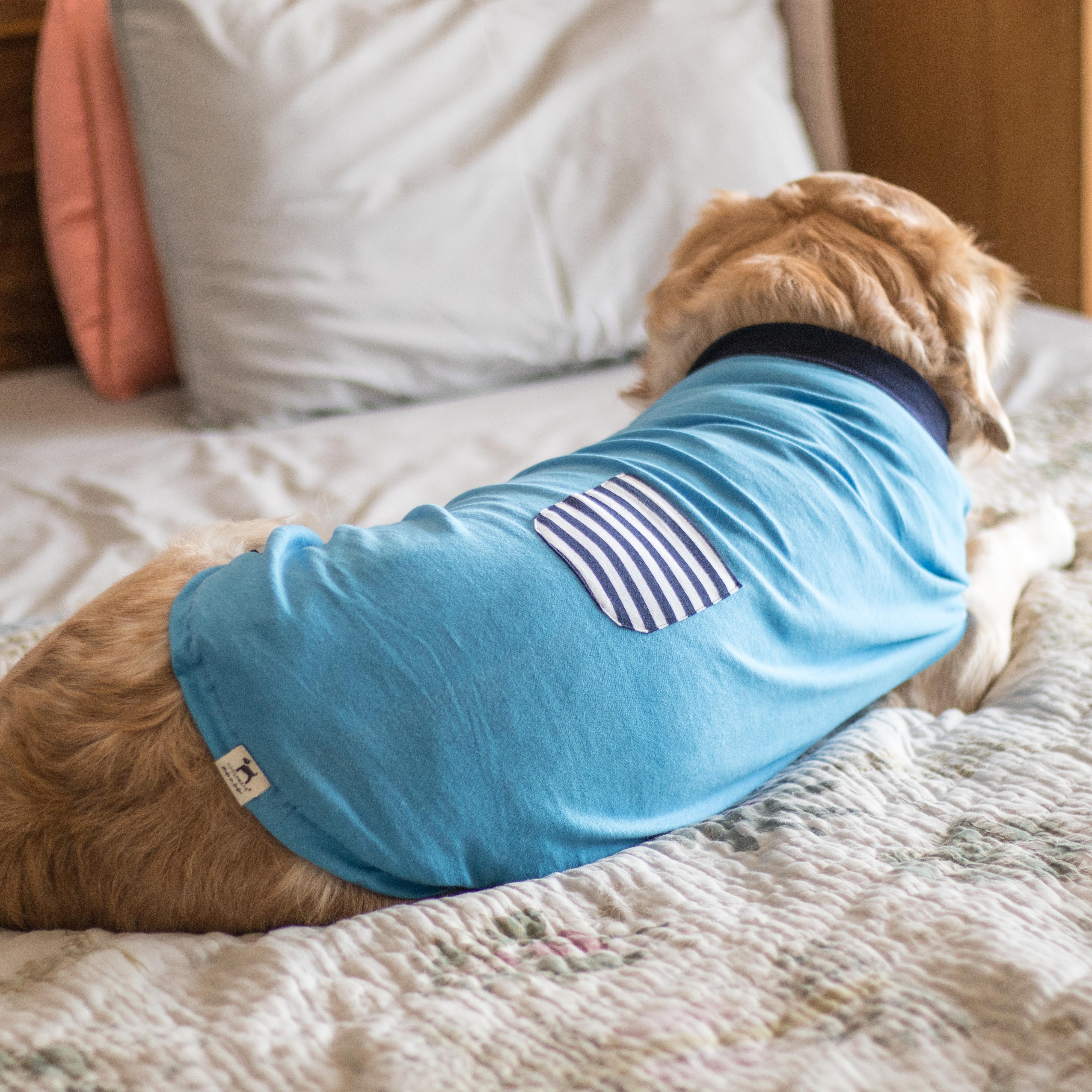 Pet dog clothes best sale online