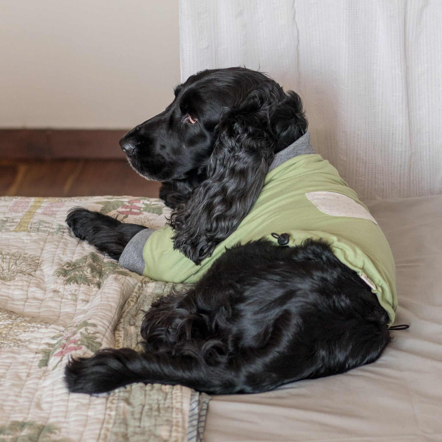 PoochMate Mint Pocket Dog T-Shirt with sleeves