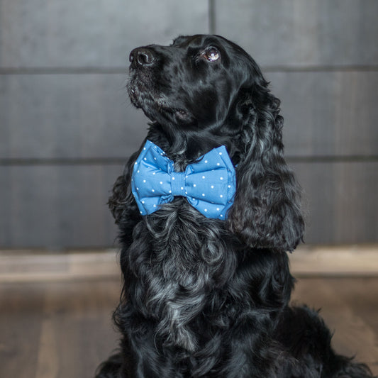 Dog Bow Tie online Dubai | Bow ties for Dogs UAE
