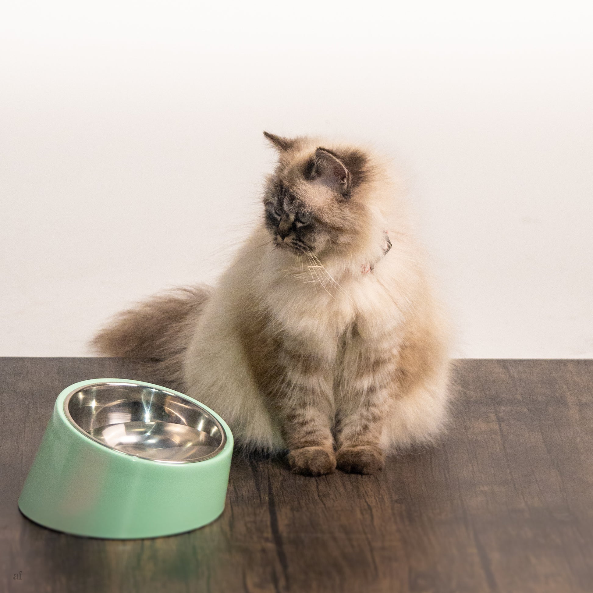 Slant Cat Bowls | Cat bowls online Dubai