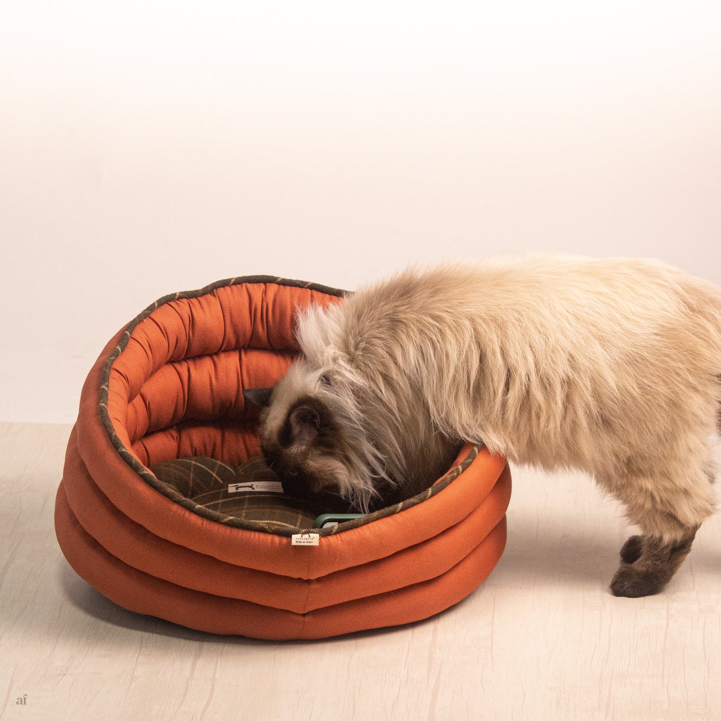 Cotton Beds for Cats UAE | Cat Supplies online Dubai