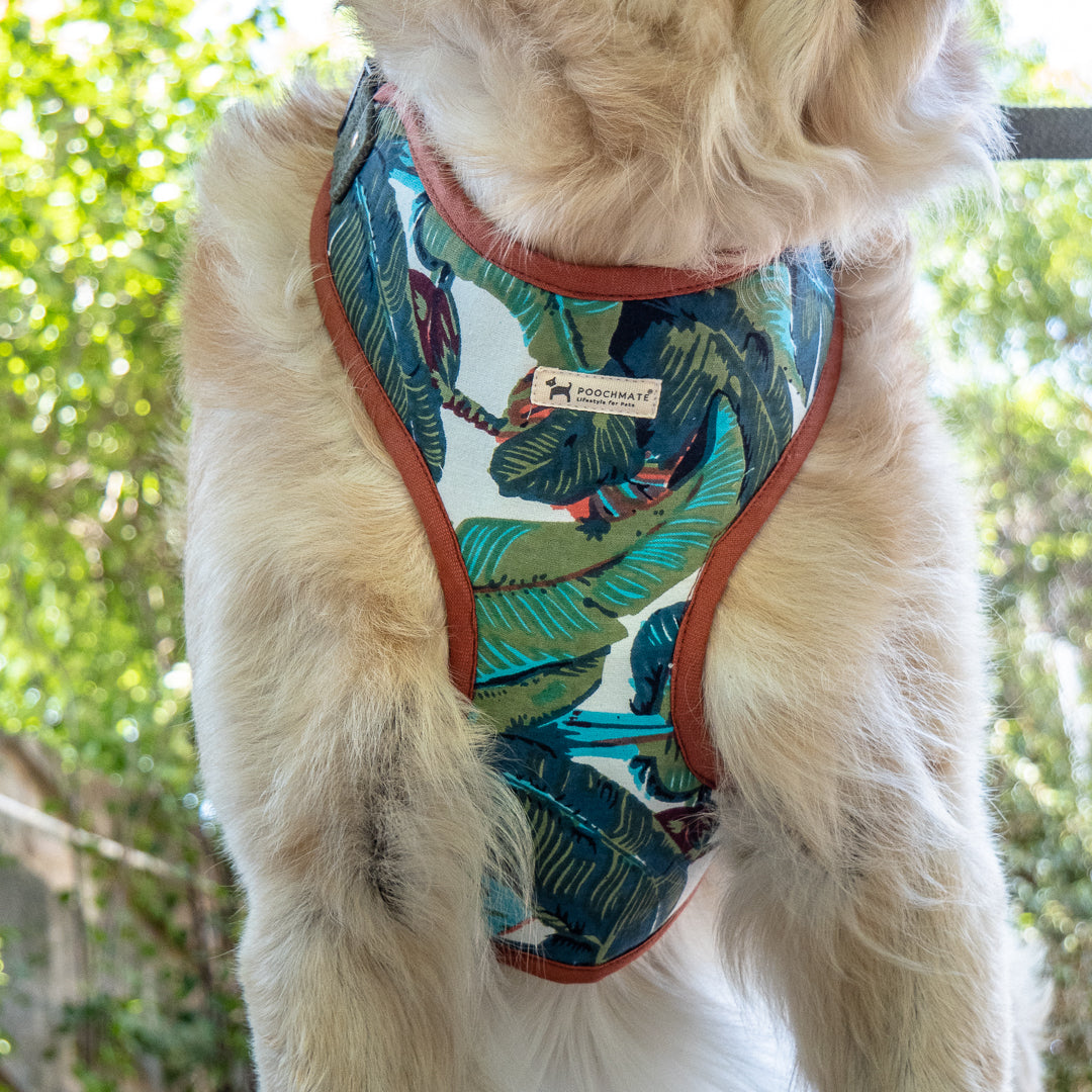 Best Dog Harness online UAE | Pet Supplies online UAE