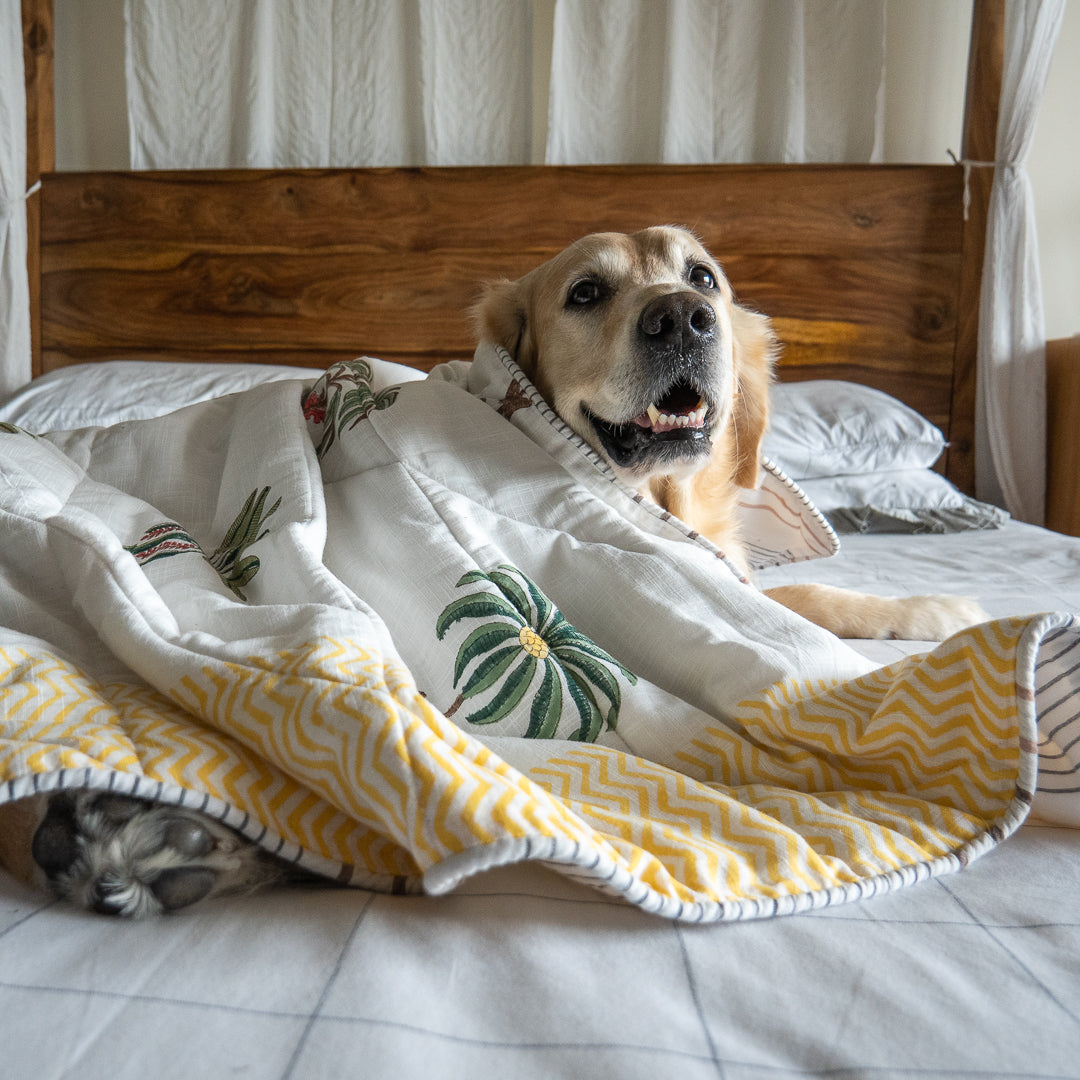 Cotton Dog Blankets online UAE| Pet Blankets online in Dubai
