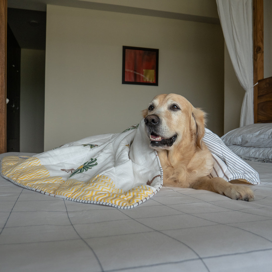 Tropical print dog blankets online UAE