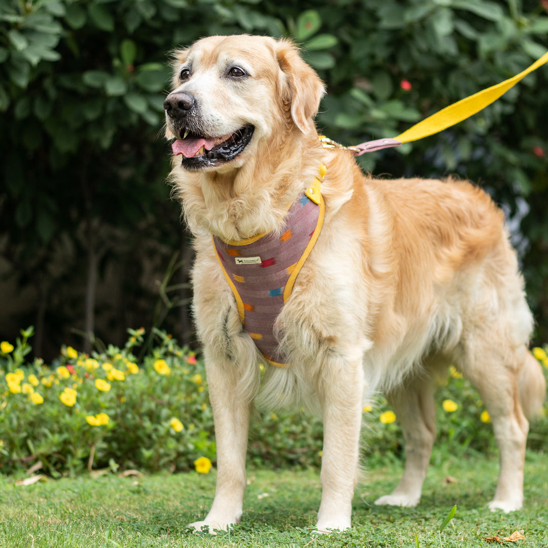 Adjustable cotton dog harness | Dog Harness & leash Set UAE