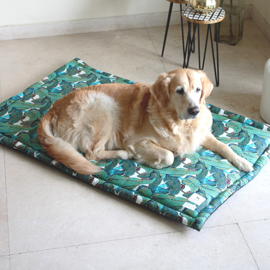 Cotton Dog Crate mats online UAE| best dog mats in UAE
