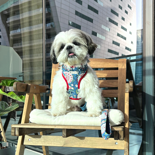 Cotton Dog Harness Dubai | Breathable dog harness online UAE
