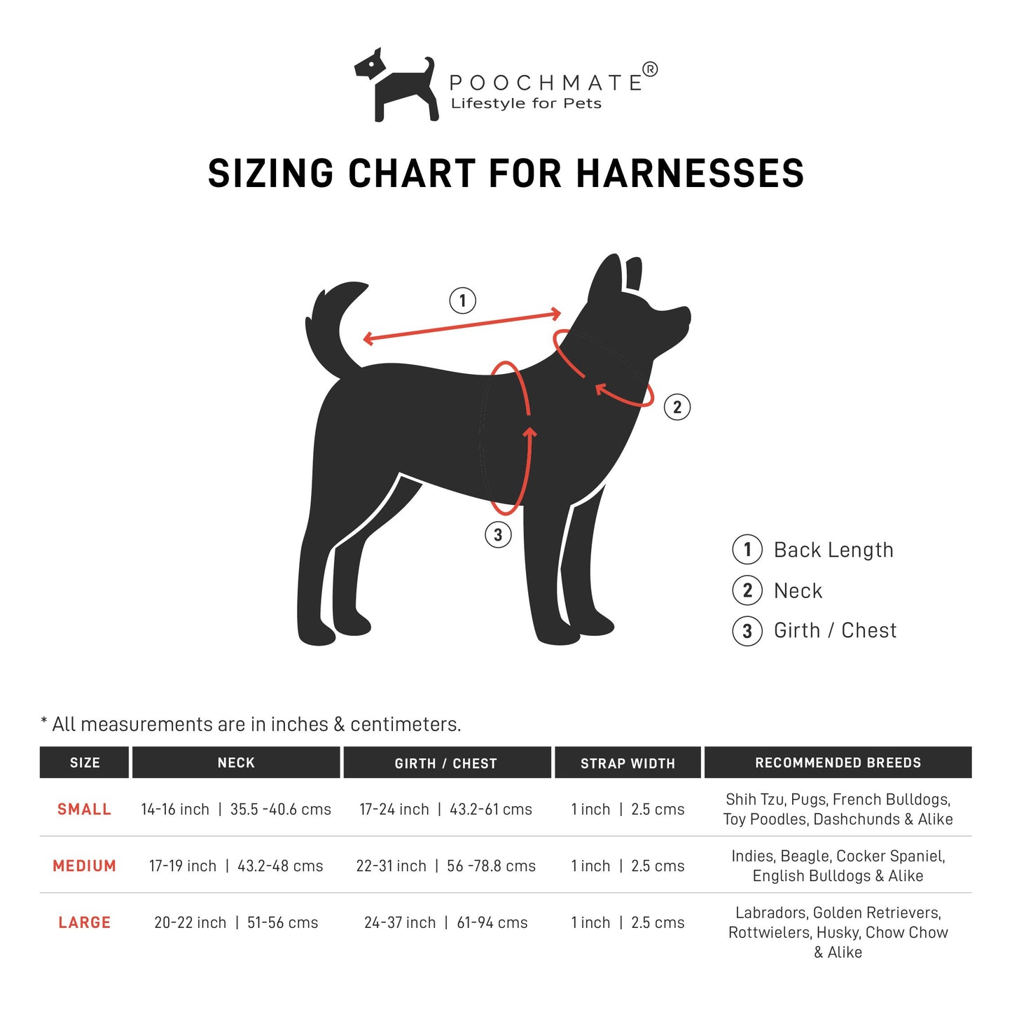 PoochMate Pomegranate Print Dog Harness and Lead Set