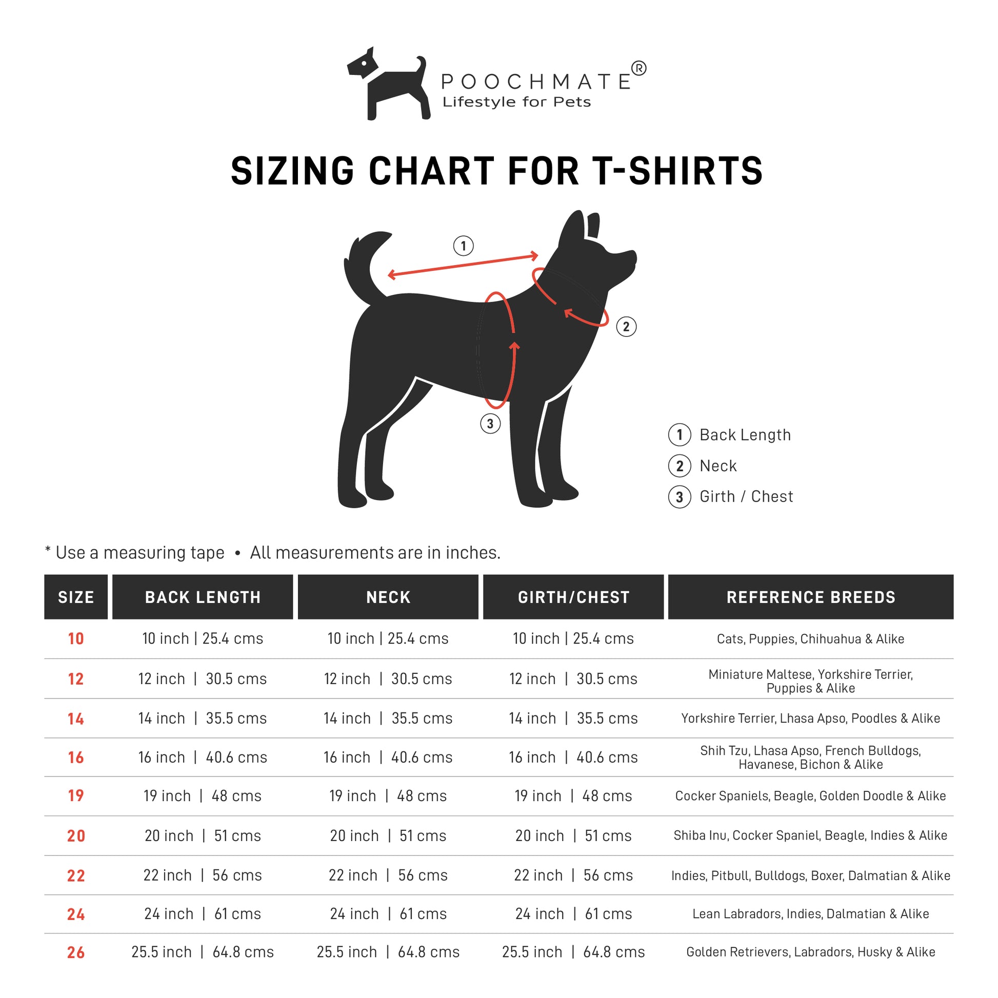 best dog clothes online Dubai | PoochMate UAE