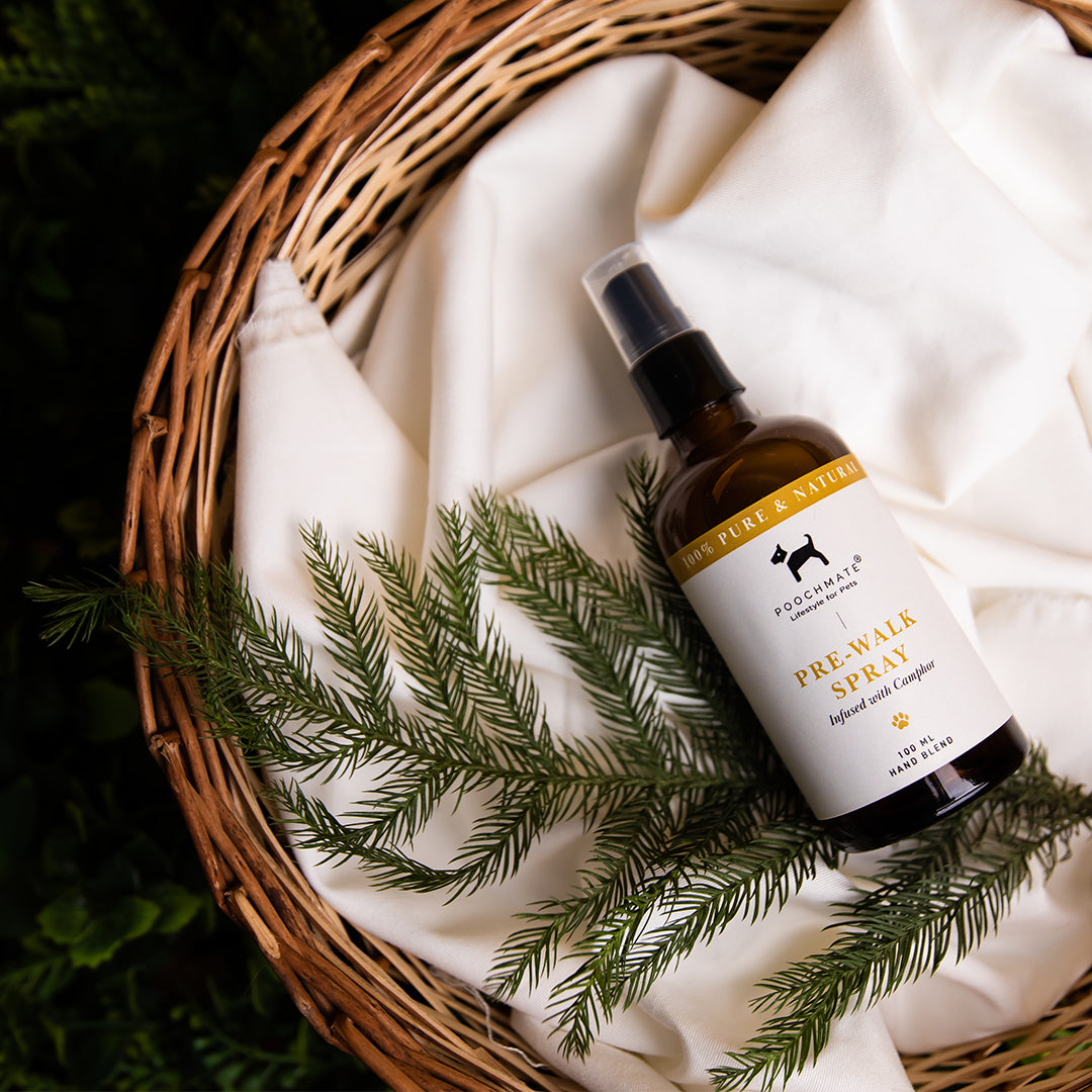 Natural dog grooming products online Dubai