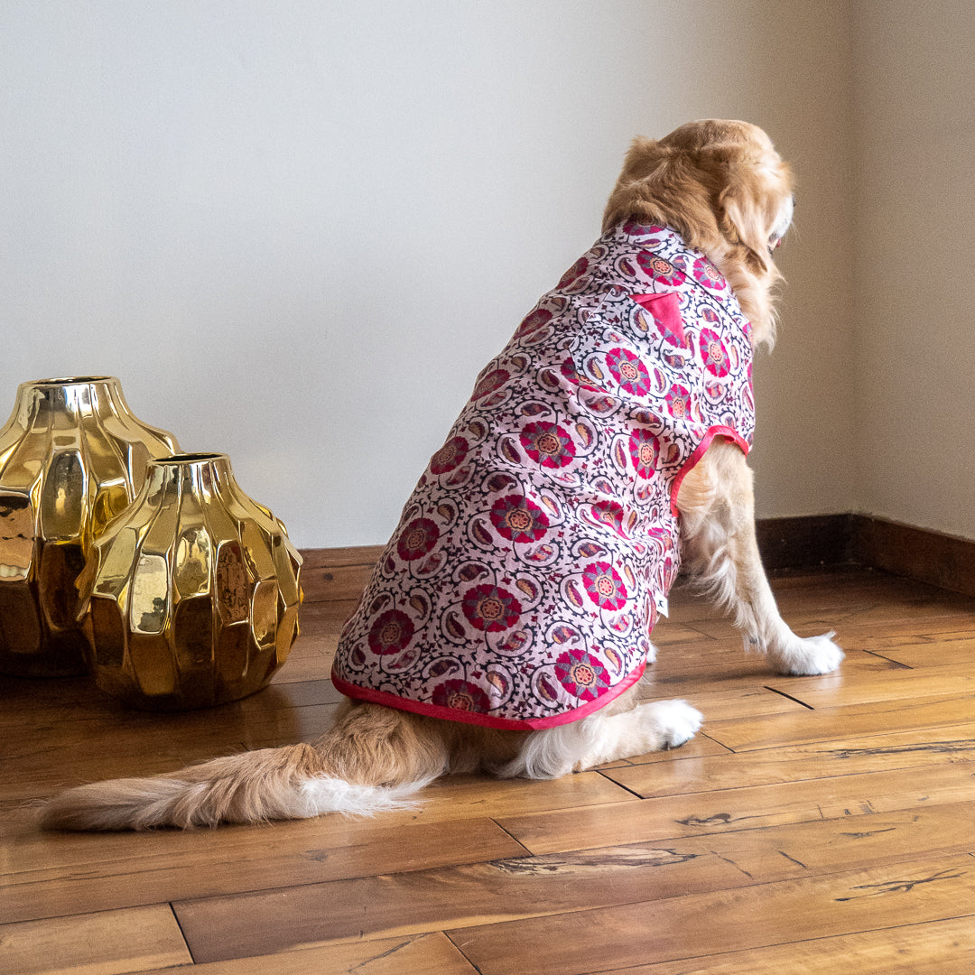 Special occasion wear for pets online UAE