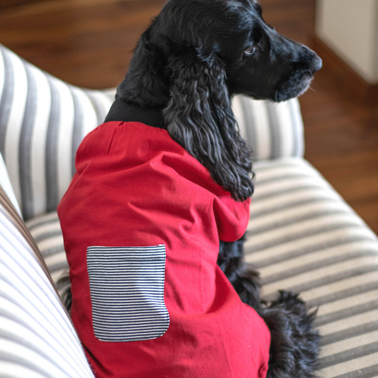 red Dog T shirt | Cotton Dog Clothes online dUBAI