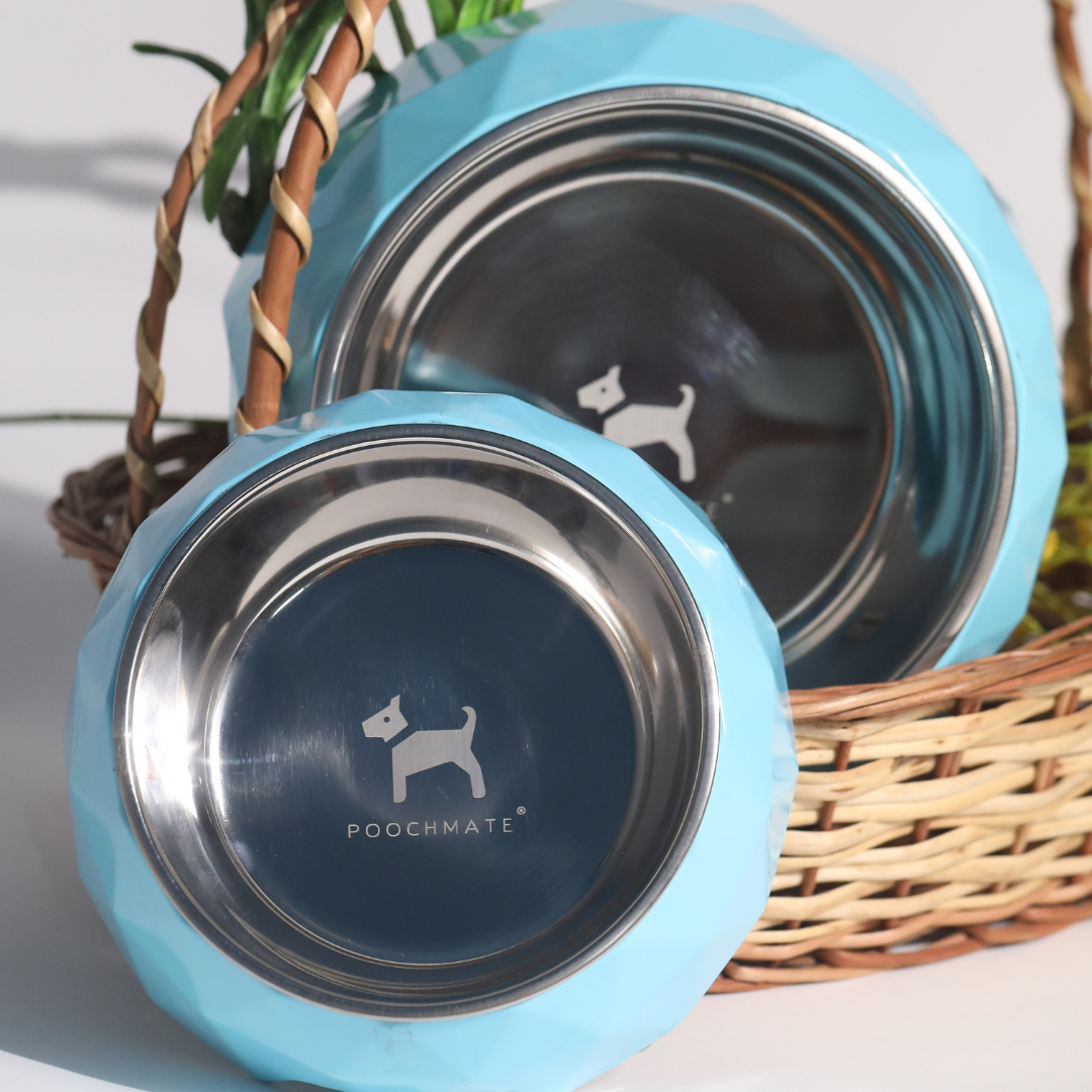 Dog Bowls online Dubai | Dog Supplies online in UAE