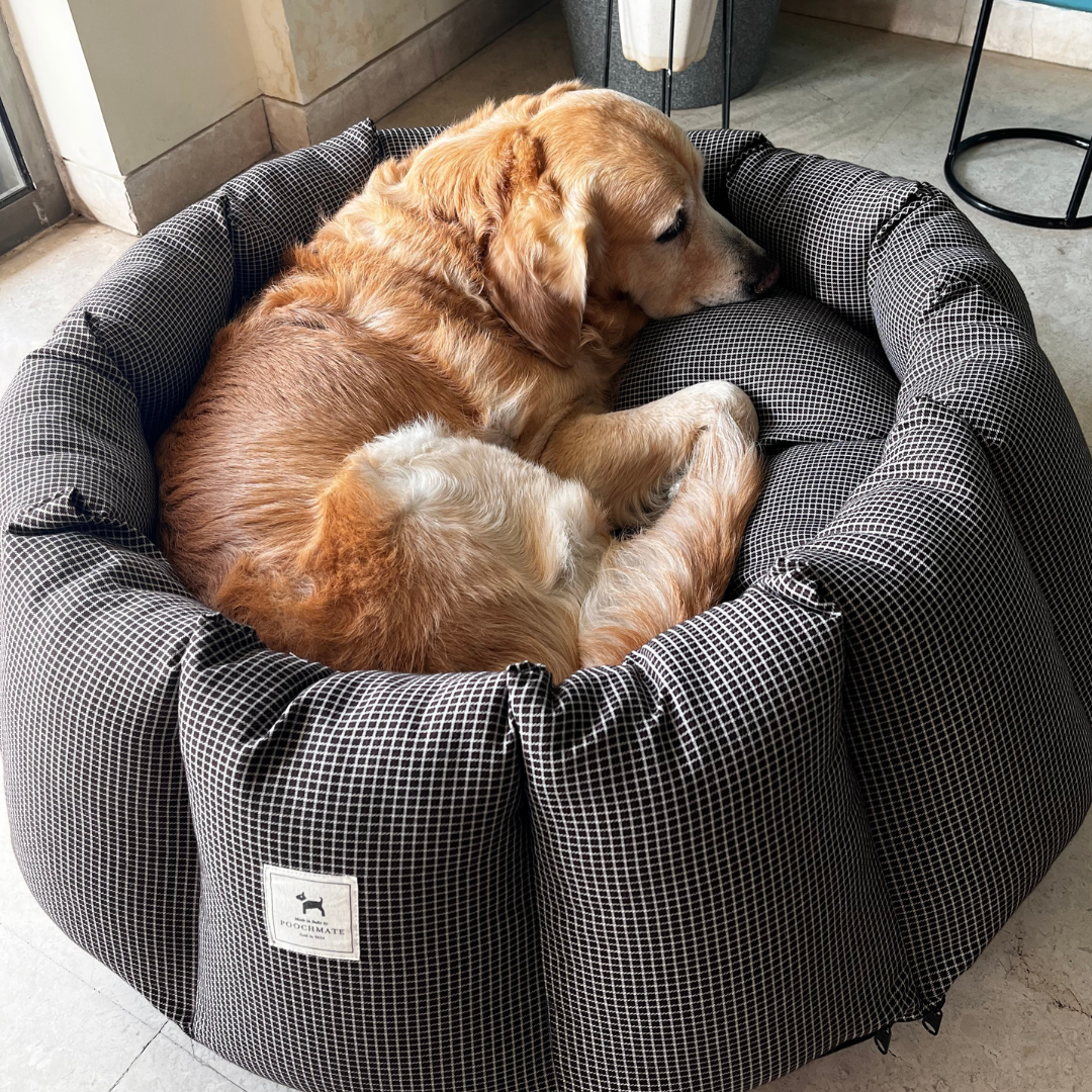 Round dog beds for large dogs | Dog Beds online Dubai