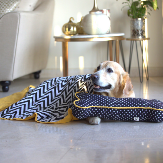 Cotton dog blanket and pillow | Washable dog beds online UAE