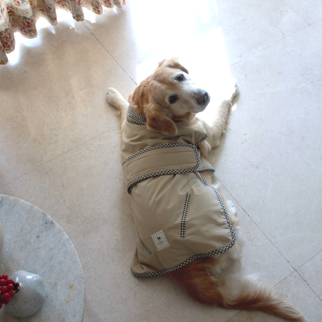 Winter dog clothes online UAE | Dog Jackets online UAE