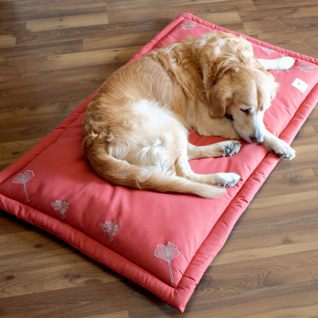 Online pet store UAE| Cotton dog beds online UAE