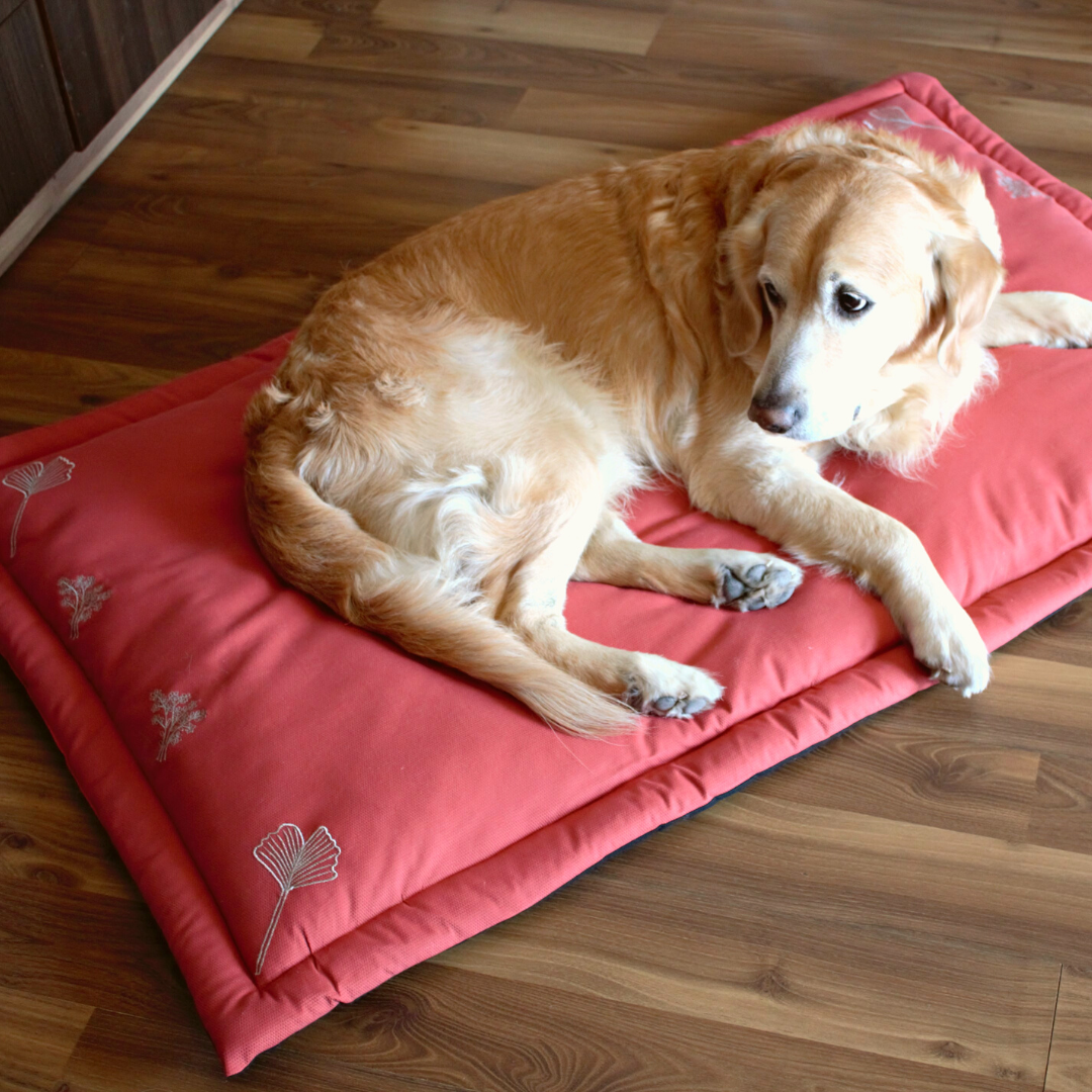 Luxury dog beds online UAE| Dubai pet stores online