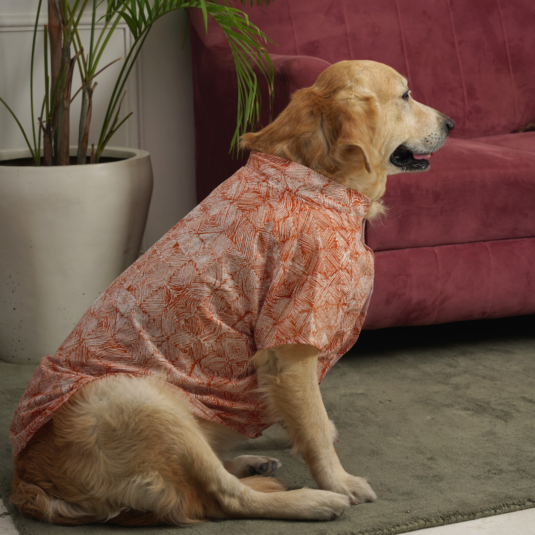 Cotton dog clothes online UAE | Cotton Dog shirts online UAE