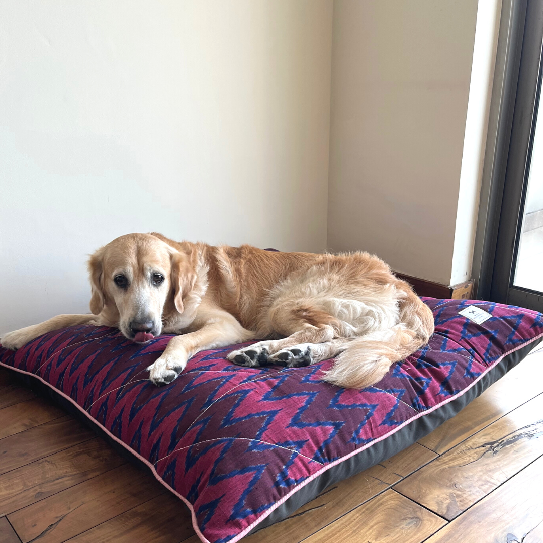 Beds for large dogs online Dubai | Washable cotton dog beds UAE
