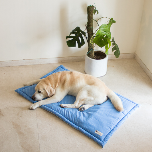 Cotton Dog Beds online Dubai | Luxury dog beds in Dubai