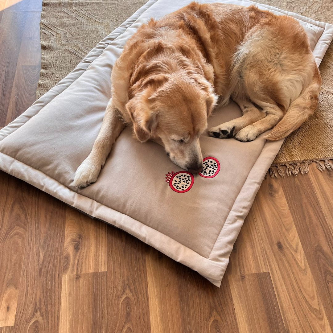 Cotton washable dog beds online UAE| Crate mats for pets UAE
