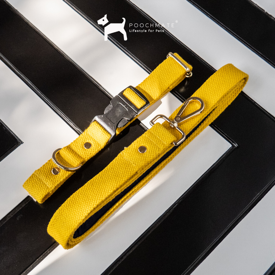 Cotton Dog collars online Dubai